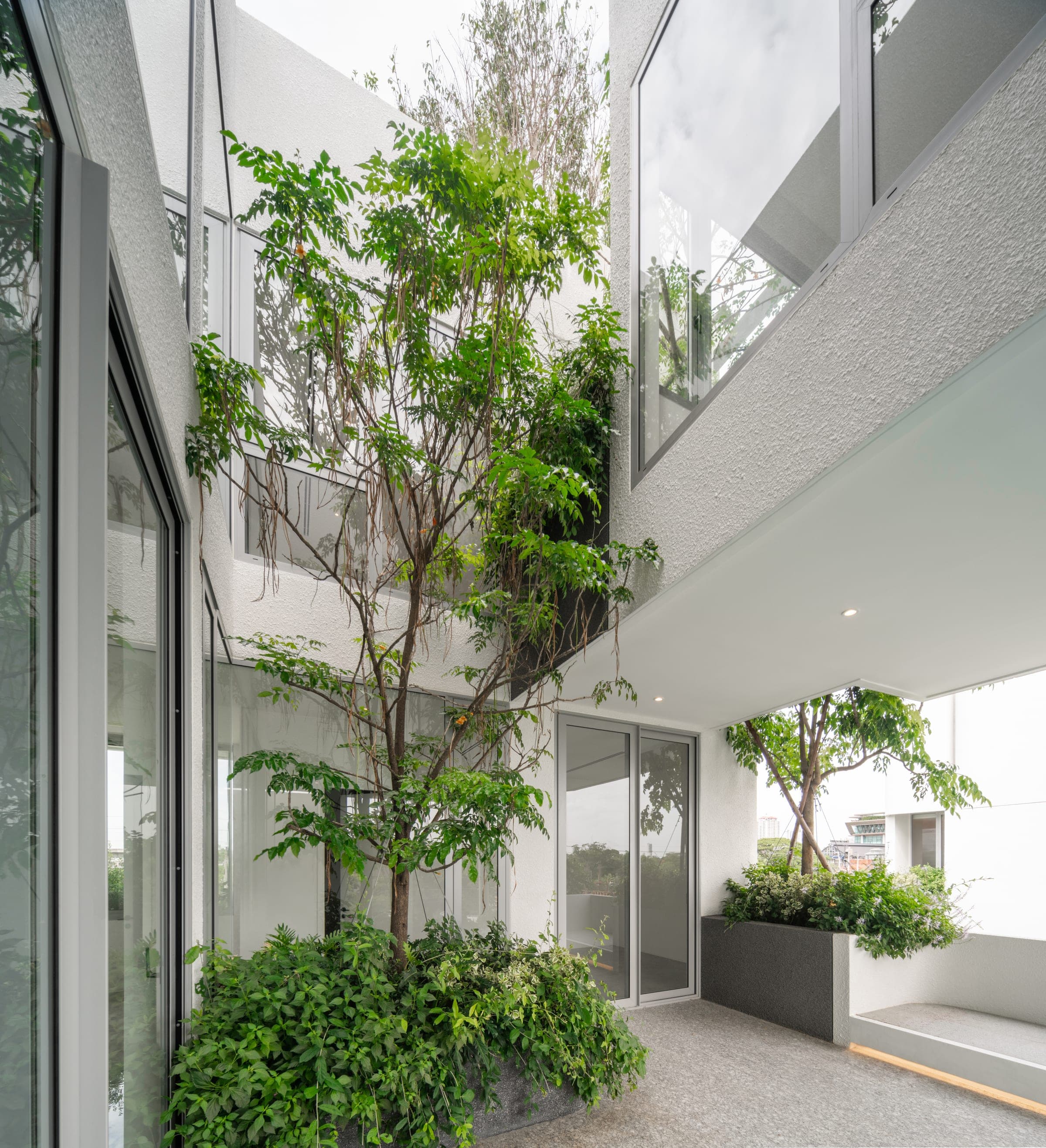 ARQ10 M-House courtyard garden